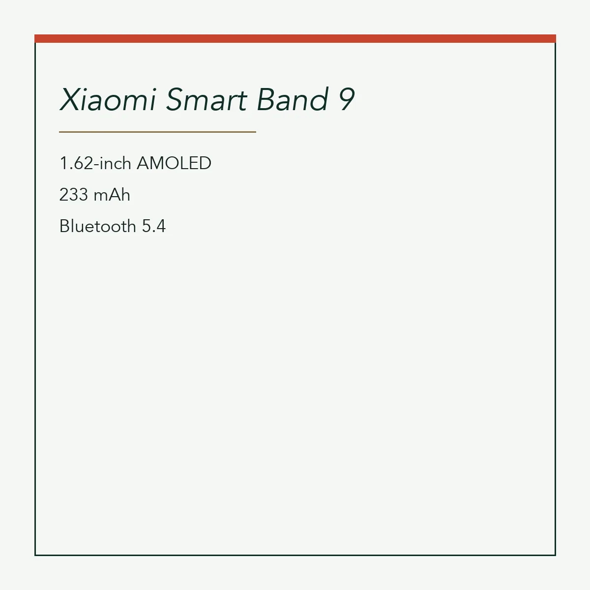 Xiaomi Smart Band 9